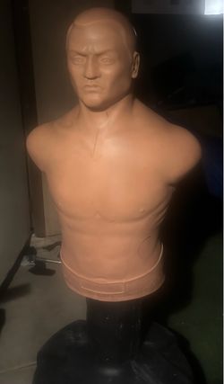 Century Bob Torso Training Bag