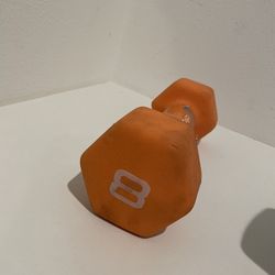 Single 8lb Dumbbell Weight 8 Pounds 