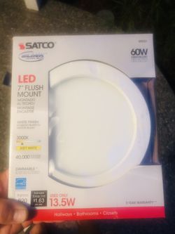 7in Satco Light