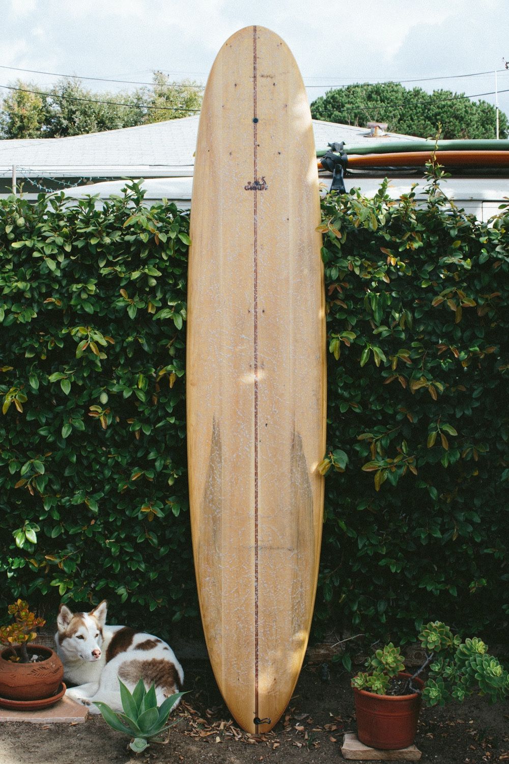9’6 Grain longboard with Dead Kooks fin