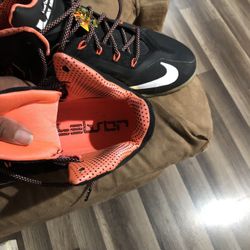 Nikes Shoe’s Lebron Nikes 