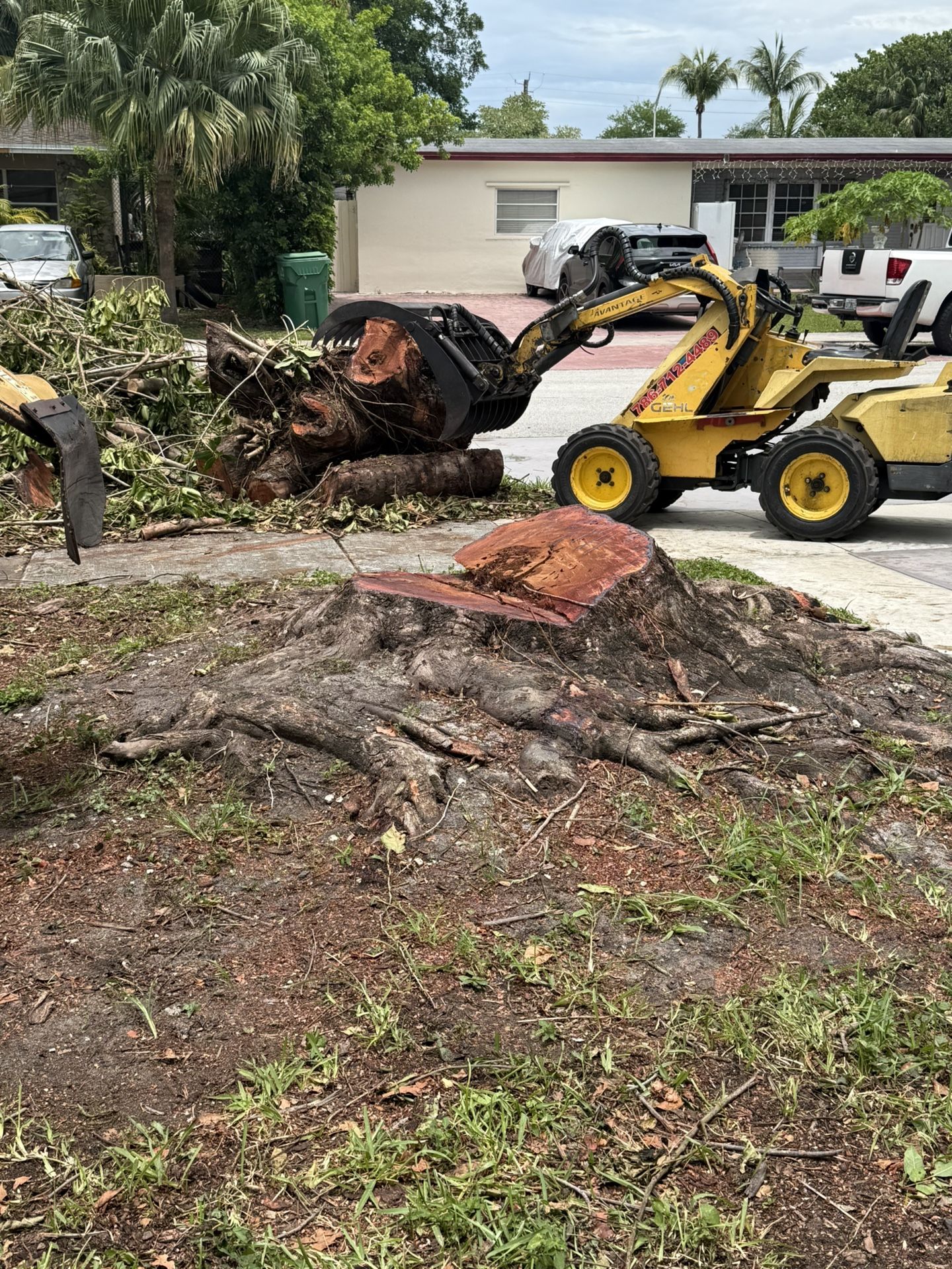 Stump Grinding Tree Trimming