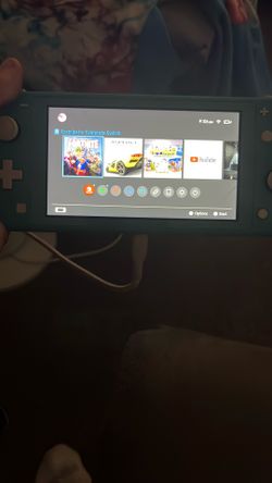 Switch Lite