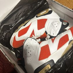 Air jordan 6 gatorade 