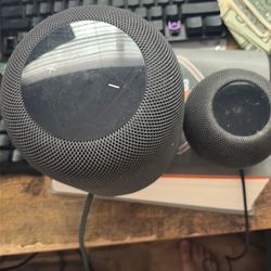 Apple home pod mini and home pod