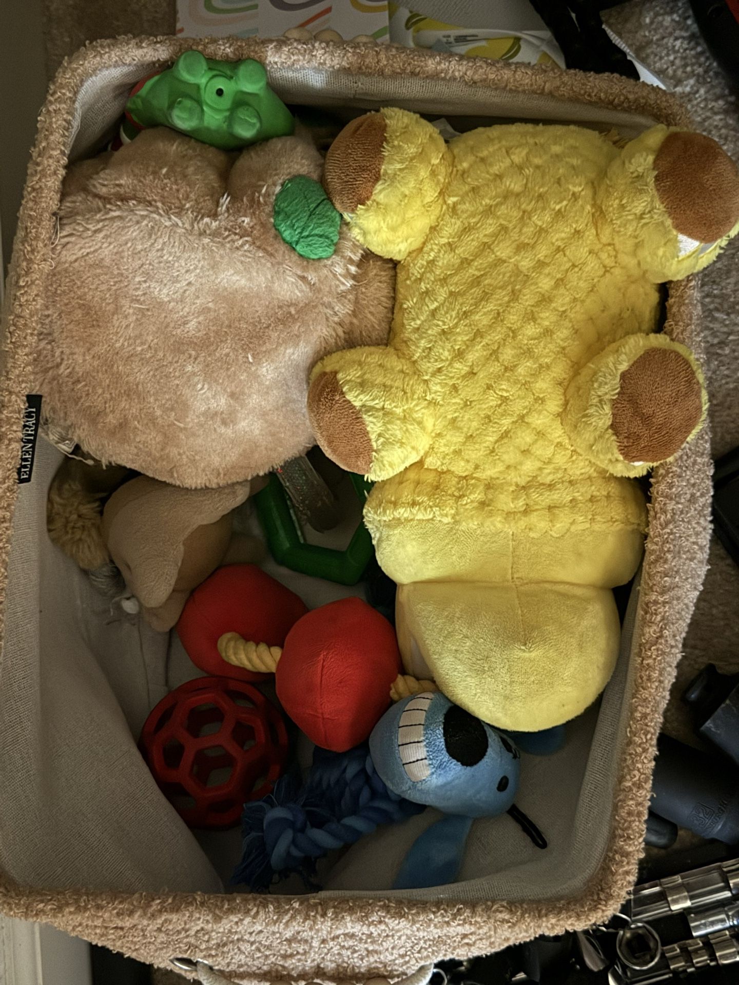 Miscellaneous Dog Toys