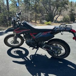 Pioneer 250 Enduros (2)