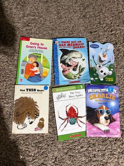 Beginner reader bundle