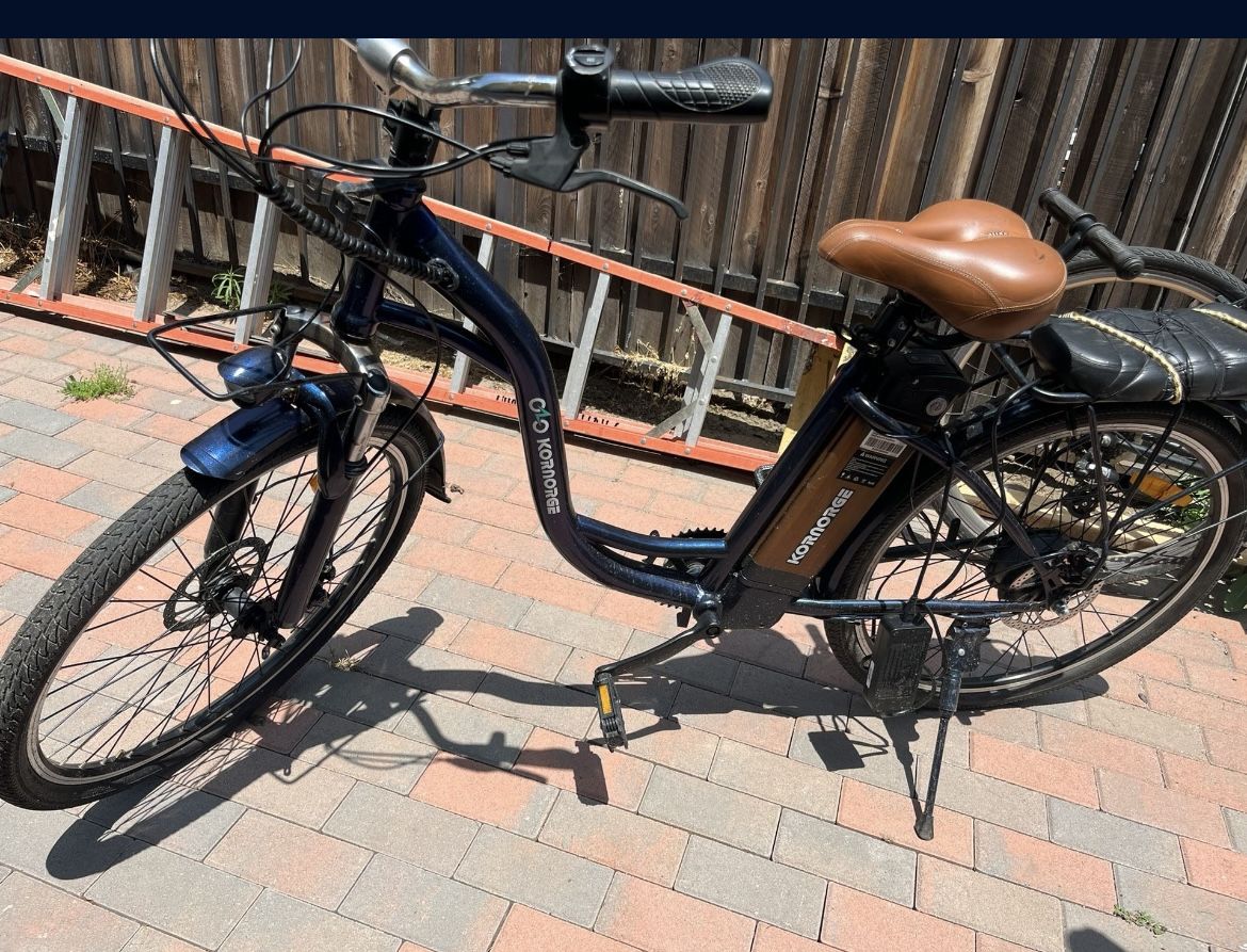 Electric Bike