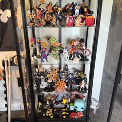 Collectible Case And Collectibles Included