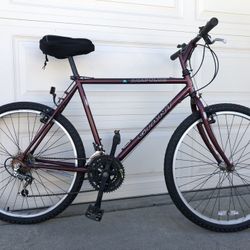 Giant Acapulco Mountain Bike