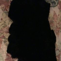 Zalea De Borreguito, Si Tienes Enfermito En Cama Muy Útil Para Mantenerlo Caliente Y Libre De Llagas Tambien Como Ornamento En Casas Campestres 