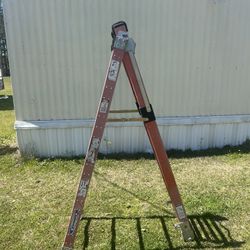 Werner Step/extension Ladder 