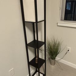 Standing Light (w/shelves)