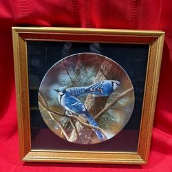 Encyclopedia Britannica "Birds of your garden collection, The Blue Jay, Knowles.