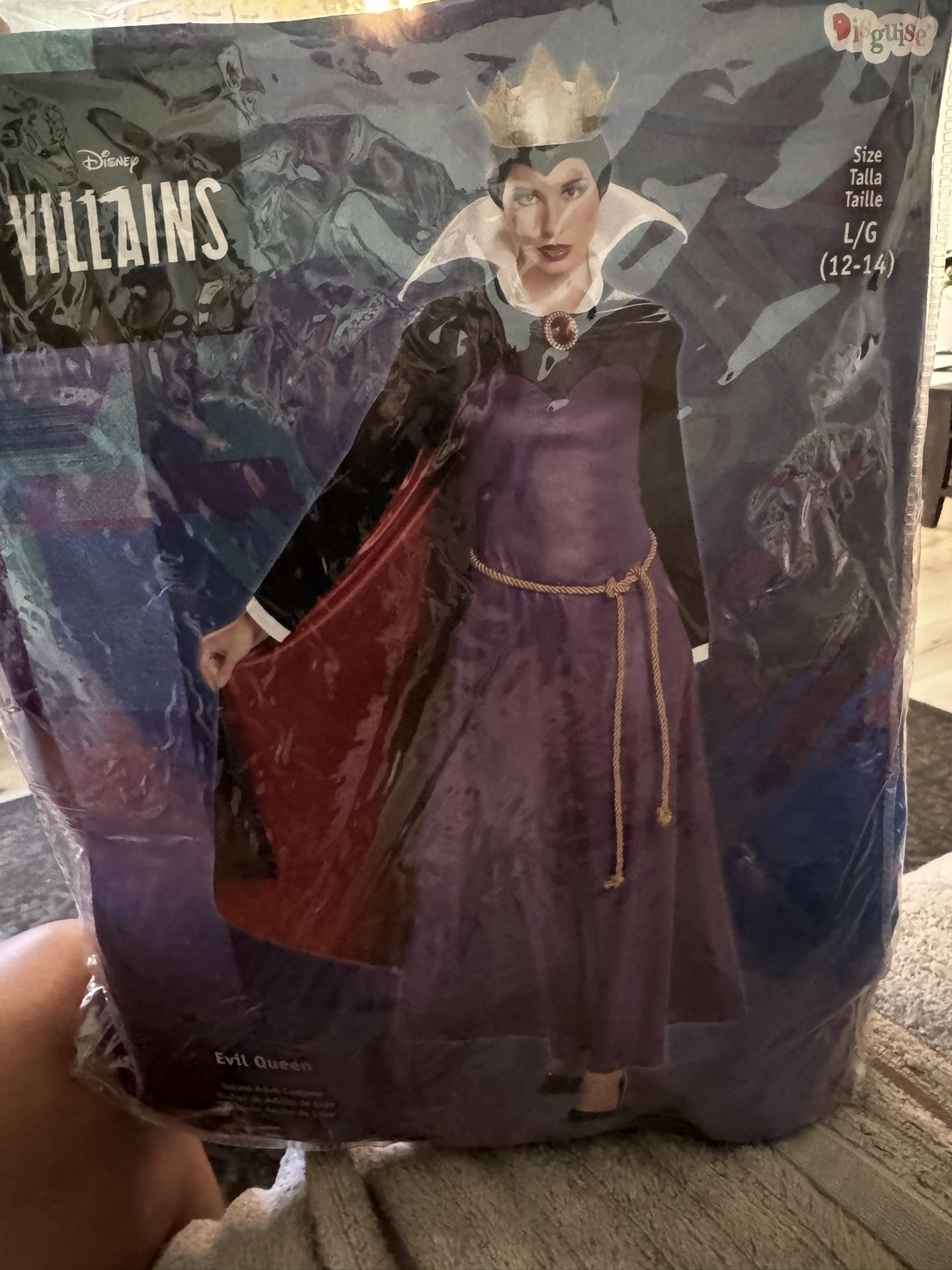 Adult Evil Queen Costume 