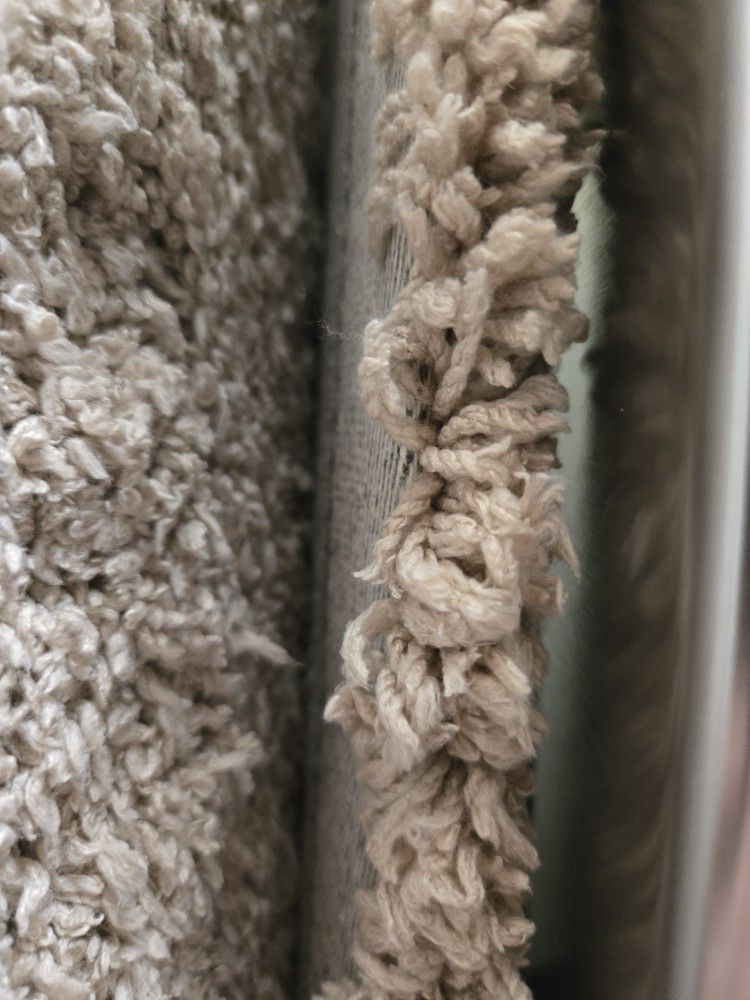 Large COZY Beige Shag Rug 
