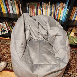 Barely Used Bean Bag Chair