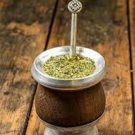 yerbamate tree 🌳 In 3gal Arboles  de yerbamate