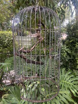 Hanging Macaw Bird Cage 
