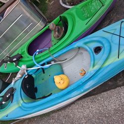 Is your pelican collecting dust mold or moss. It or they would be much happier. If they were part of a flock Of pelicans.