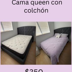 Queen bed with mattress