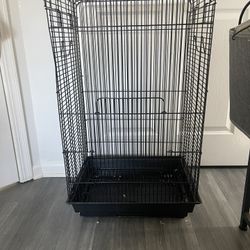 Bird Cages