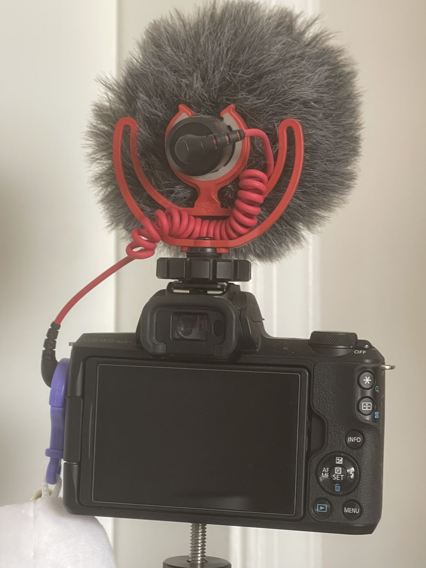 Canon EOS Mark II Mirrorless