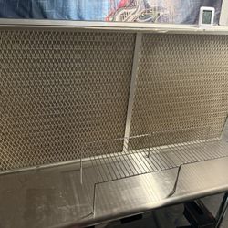 Mycology Flow Hood 
