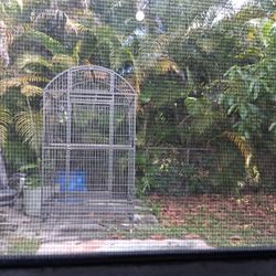 BIRD Cage