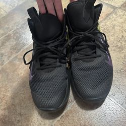 Nike Lebron Sneakers 