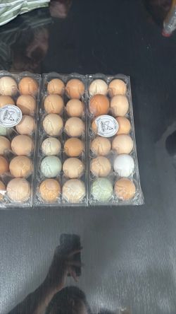 Organic farm eggs