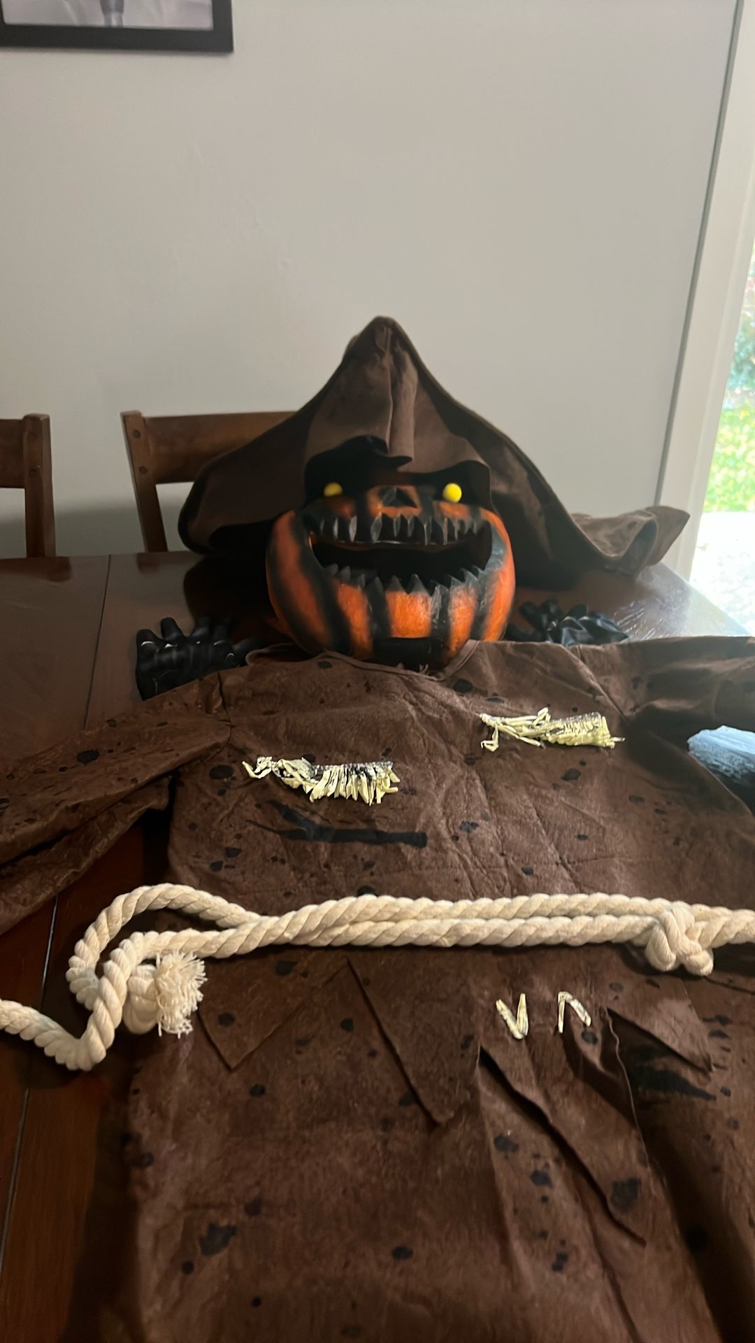 Juvenile Large Pumpkin Costume