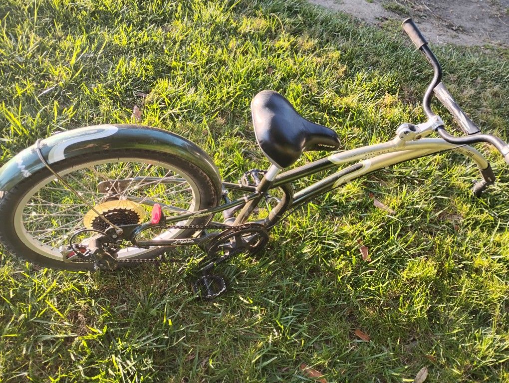 Adams Shifter 7 Pull Behind Bicycle Attachment