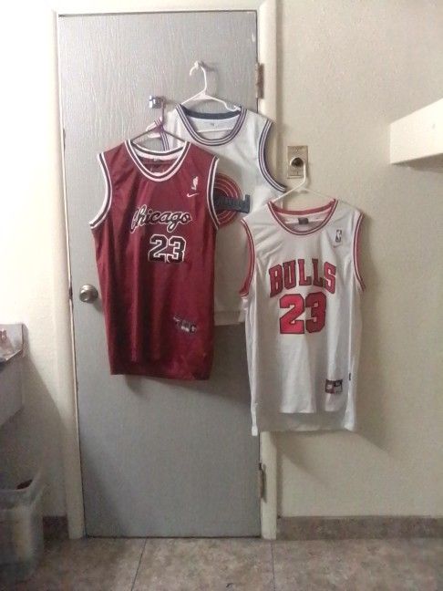 NIKE JORDAN JERSEYS, SPACE JAM "LOLA"