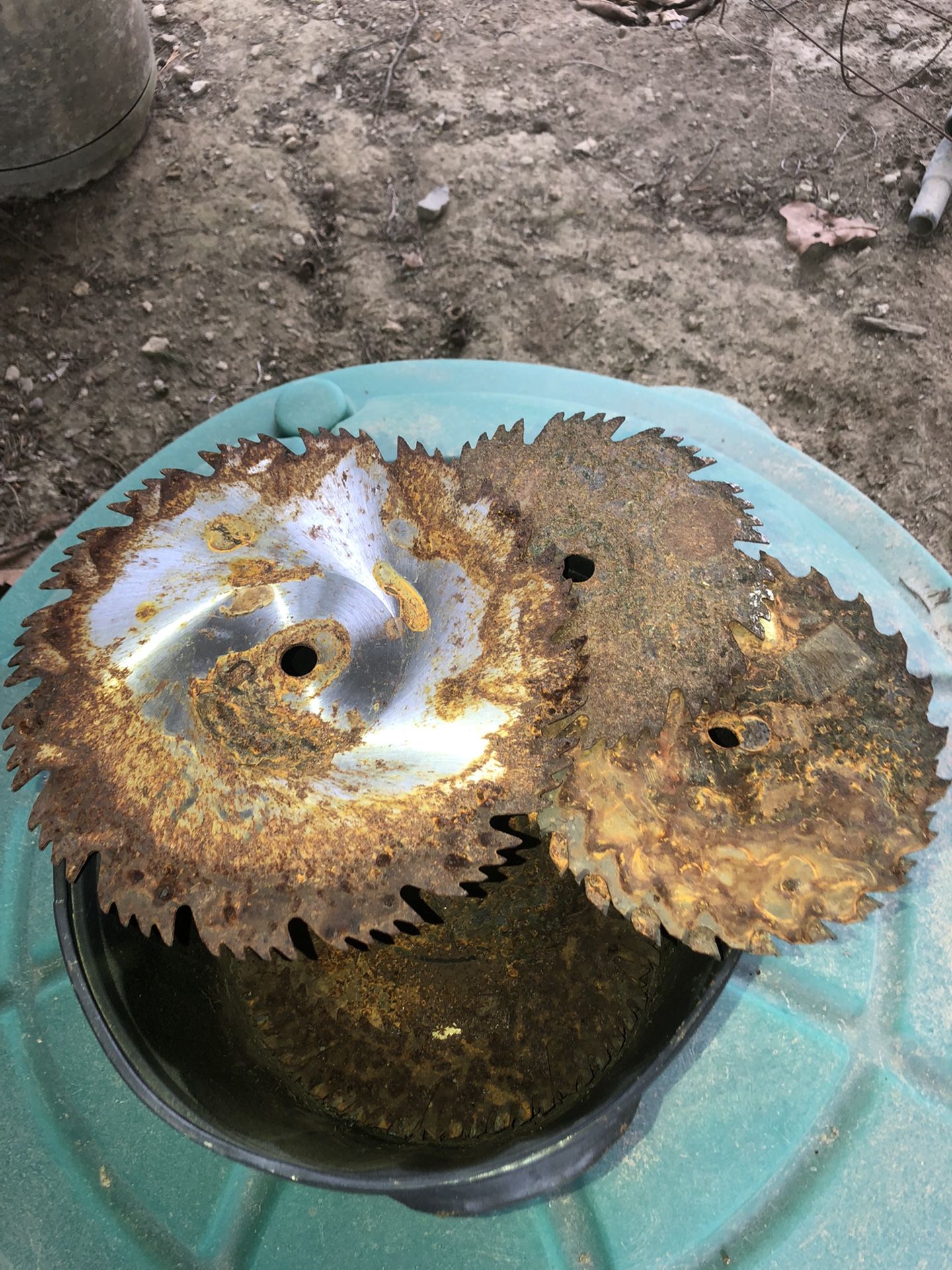 Assorted Saw Blades