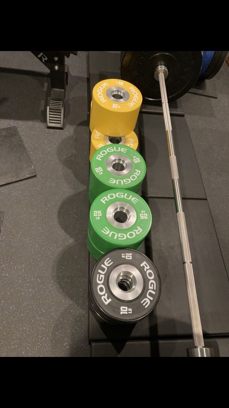 Pair Of Rogue Db-15 Loadable Dumbbells With Rogue OSO Aluminum Collars And 6 Pairs Of Specialty Rogue Dumbbell Bumpers - Retails For Over $1600