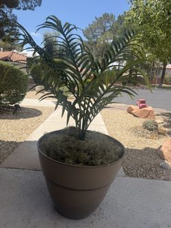 Faux Palm Tree Large 