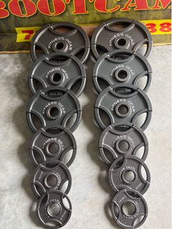 FITNESS GEAR  Olympic Barbell Grip Weight Plates $260