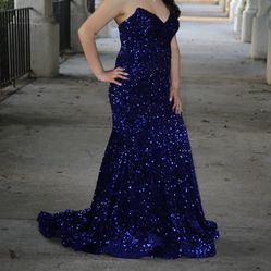 Prom/Long Sparkly Dress