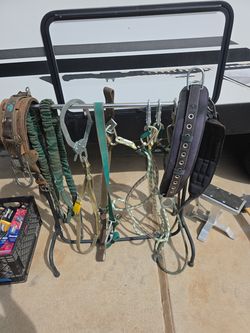 Lyman, belt, black squeeze and secondaries.