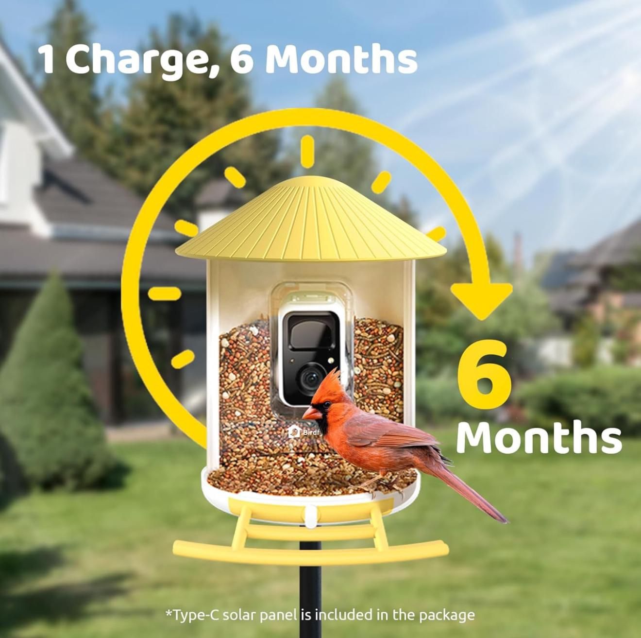 Smart Hummingbird Feeder With Camera/ Comedero Inteligente Con Cámara 