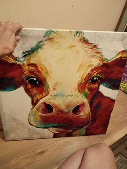 Cow picture