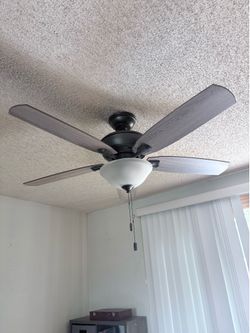 Hunter 3 speed fan, light combo