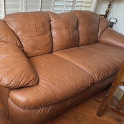 Leather Sleeper Sofa