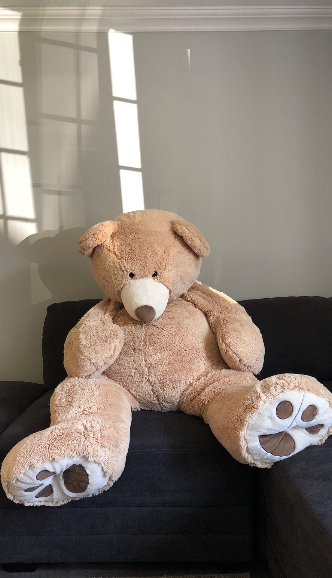 Brown giant/life size teddy bear