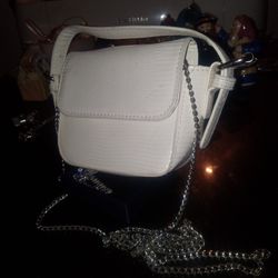 Mini Chain Link Purse