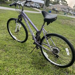 24” LADIES ROADMASTER BICYCLE 