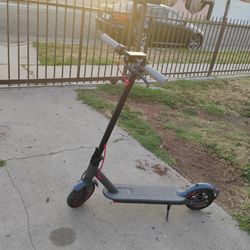 Scooter Eléctric 