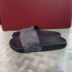 Gucci tiger 🐅 Unisex Sandals size 8